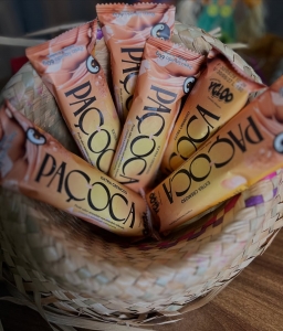 PICOLE PACOCA  AO LEITE- YGLOO