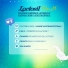 LACTOSIL FLORA C/8 CAPSDD